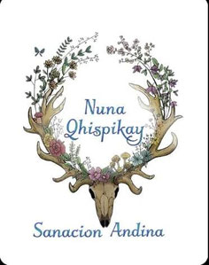 Página web de nunaqhispikaysanacionandina