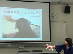 大分｜別府｜ペットシッター｜お散歩代行｜ペットホテル｜アニマルコミュニケーション｜アニマルヒーリング｜ヒーリング｜動物通訳｜動物通訳士｜ペットロス｜動物と話す｜問題行動｜犬噛む｜吠える｜グリーフケア