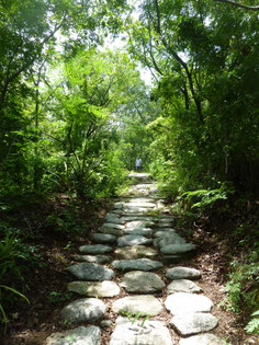 Boutique hostel in the area of Minca and Santa Marta