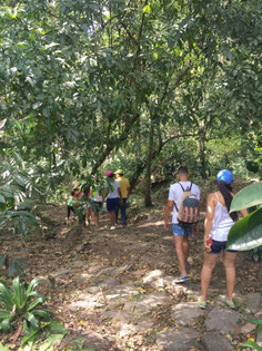 Boutique hostel in the area of Minca and Santa Marta