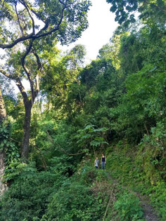 Boutique hostel in the area of Minca and Santa Marta