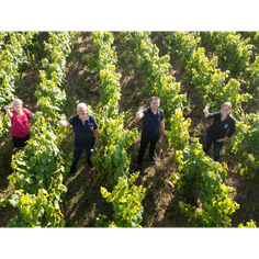 Domaine Barreau, Domaine de la Cornulière, près du Château de Clisson en Bretagne historique dans la vallée de Clisson, dans le vignoble nantais enregistrer région Française. Muscadet à l'export en Belgique, Allemagne et Suède pour déguster en apéritif