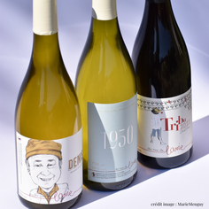 Domaine des Vins de Lavie produit du vin blanc en harmonie avec la nature. Production de vin blanc en biodynamie, phytothérapie, pastoralisme avec des traitements naturels de la vigne et un écopaturage dans les vignes avec des moutons