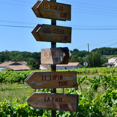 Domaine Bregeon produit du muscadet en AB agriculture biologique dans le respect de la nature et de la biodiversité. Idéal pour accompagner des huitres, fruits de mer, coquillage, poissons. Vin blanc pour accompagner un foie gras et du fromage de chèvre