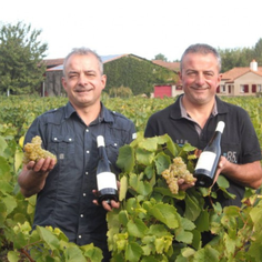 Domaine Martin-Luneau est situé à Gorges, près de Clisson dans le vignoble de Nantes en Loire-Atlantique près de la Vendée. Il a le label Vigneron Indépendant et HVE Haute Valeur Environnementale pour la biodiversité des vignes et le repect de la nature