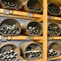 Vignoble Blanchard, Domaine de la Proutière producteur de muscadet melon de bourgogne sèvre et Maine. Choisir le vin de son mariage, vin pour vin d'honneur, vin pour baptème, vin pour barbecue, vin pour punch au muscadet dans le vignoble nantais tourisme 