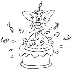 Geburtstag Fine