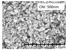 ニッケル　CNI処理後SEM画像