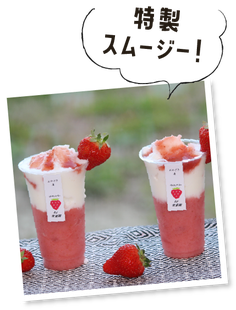 特製スムージー
