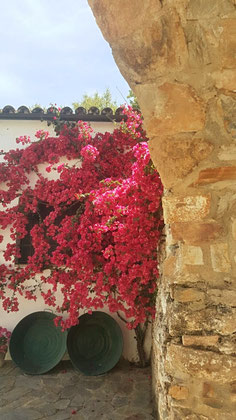 La Buganvilla