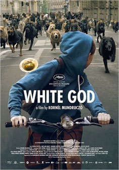 White God de Kornel Mundruczo - 2014 / Drame / Horreur 
