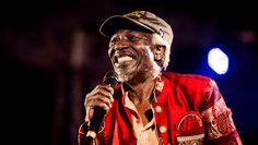  booking contact ALPHA BLONDY