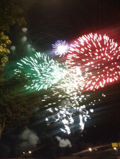 Fuegos artificiales 2013 (todovicalvaro.es)