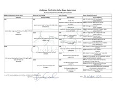 Azha's pedigree