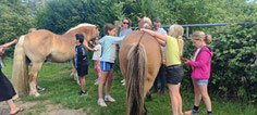 camping-baie-somme-location-vacances-mobilhome-famille-enfants-piscine-couverte-chauffe-petanque-crotoy-rue-somme-animations