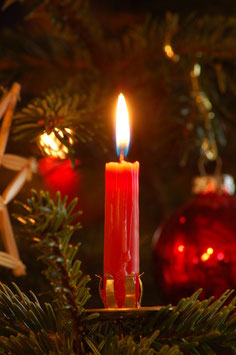 Weihnachtsbaum von Hermann Eberhardt/pixelio.de