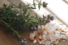 Heilpraktiker, Frankfurt, Sylvia Silvia Domack, Thymian, Heilkraut, Heilkräuter, Badezusatz, Bad, Salz