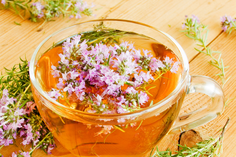 Heilpraktiker, Frankfurt, Sylvia Silvia Domack, Thymian, Heilkraut, Heilkräuter, Tee