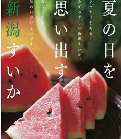 新潟県懸賞-新潟すいかプレゼント