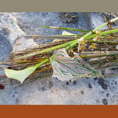 Lawrence Kwong KEITA stickrope Greengabes