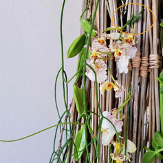 Lawrence Kwong KEITA stickrope Greengabes