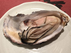 心美の忘年会は美濃加茂の美味しいお店で!