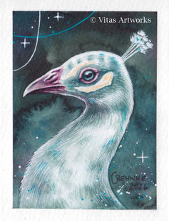 weißer Pfau gemalt mit Aquarellfarben - Original Kunstwerk