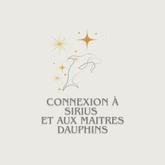Formation connexion a l'etoile de sirius et maitre dauphins a tours