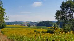 Blick zurück ins schön eingebettete Niederlauterbach.