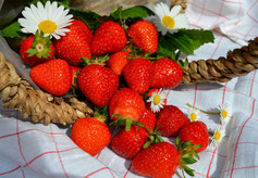 5 Tipps zum Anbau von Balkon-Erdbeeren
