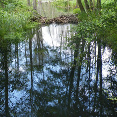 Wasser - ein besonderer Stoff.