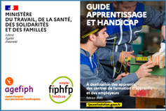 Webinaire sur l'alternance et le Handicap par le PRITH PACA, France Travail, CAP EMPLOI, CHEOPS, Les Missions Locales, L'Agefiph, le FIPHFP et la DREETS Provence Alpes Côte d'Azur le 15 mai 2025