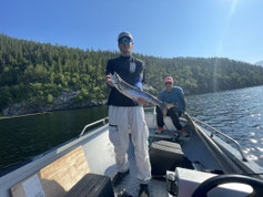 Lachse angeln in Norwegen, mittlerer Fluss, Meerforelle mit Blinker