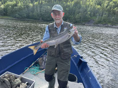 Lachse angeln in Norwegen, mittlerer Fluss, mit Fliege
