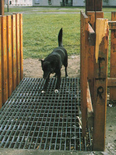 Sensus Dogstop Grating
