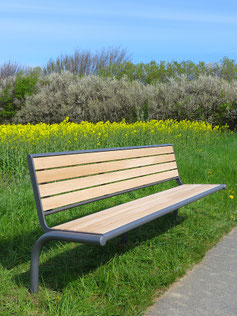 Antares Round-Pipe Seat