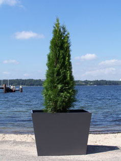 ULTRA Planter