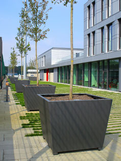Gala Planter Box