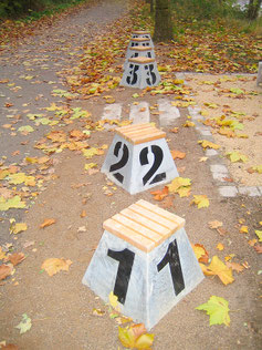 GOLD Starting-Block Seat