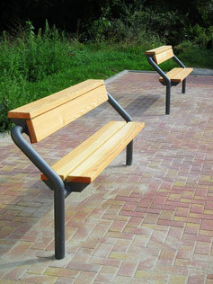 Oasis Juvenile Seat