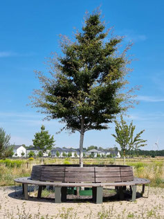ULTRA Round-Bench