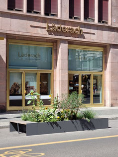 NCX Parklet 59