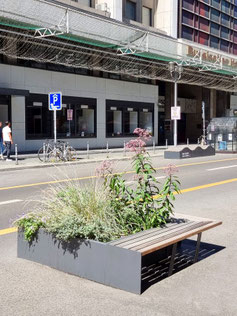 NCX Parklet 33