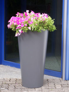 Vox Planter