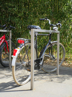 Habit Cycle Rack