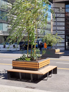 NCX Parklet 36