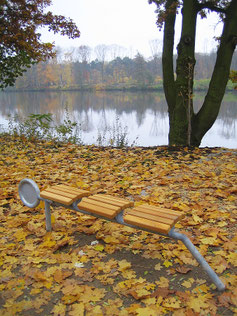 GOLD Press-up Bench