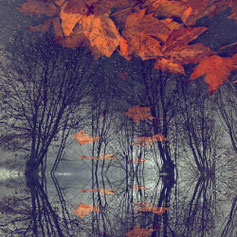 Mindscapes di Augusto Morelli