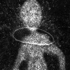 Alienum di Umberto Romagnoli