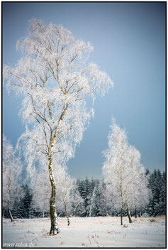 Eifel#Winter#Dreilägerbachtalsperre#Hochsitz#Struffeltroute#Winterimpressionen#Roland Valter#rolva#Natur-Fotografie# RauhreifAachen 